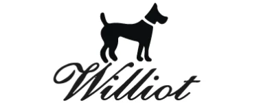 Logo-Wilot